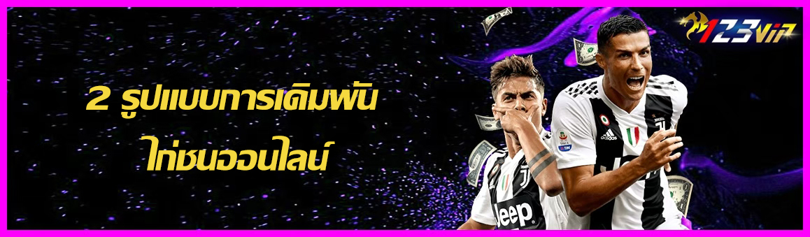 2 รูปแบบการเดิมพัน ไก่ชนออนไลน์