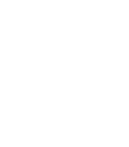 icon_password